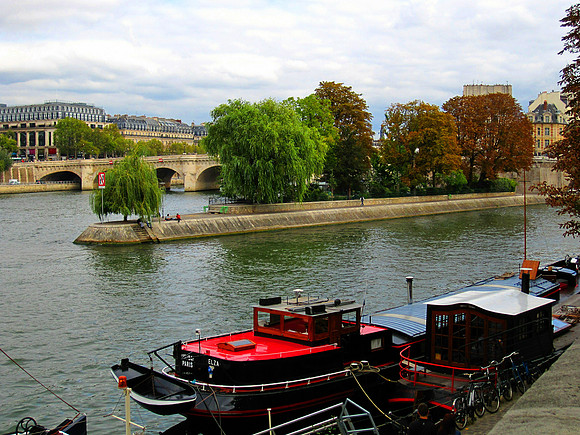 Square Vert-Galant on Isle de la Cite -- Paris