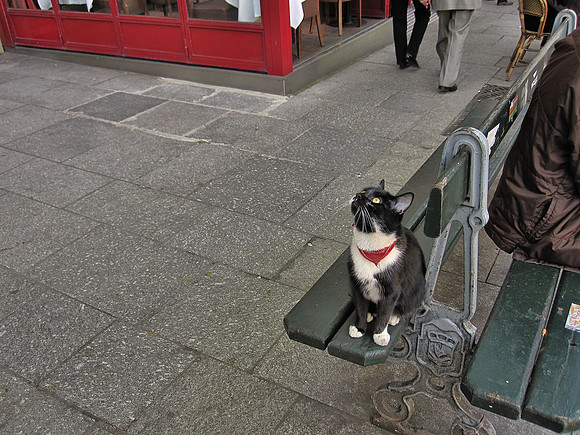 PlaceDeLaSorbonneCat3