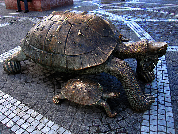 BordeauxTurtles